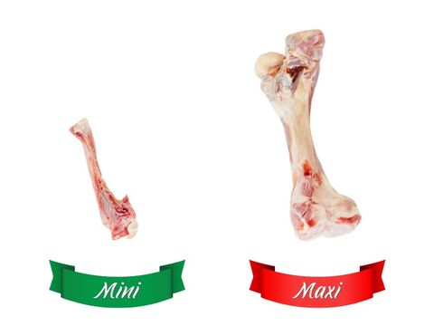 Šunková kost Prosciutto Bone mini  cca 100 g  